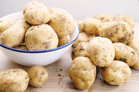 徳之島産 ジャガイモ 10キロ